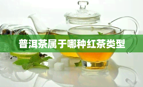 普洱茶属于哪种红茶类型