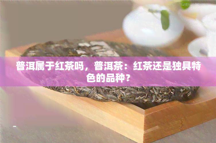 普洱属于红茶吗，普洱茶：红茶还是独具特色的品种？