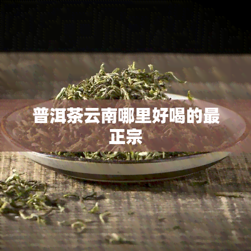 普洱茶云南哪里好喝的最正宗