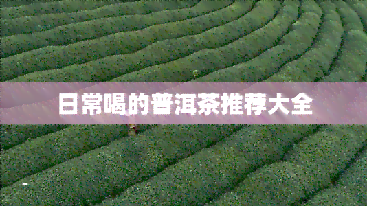 日常喝的普洱茶推荐大全