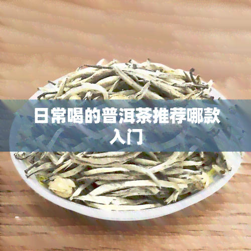 日常喝的普洱茶推荐哪款入门