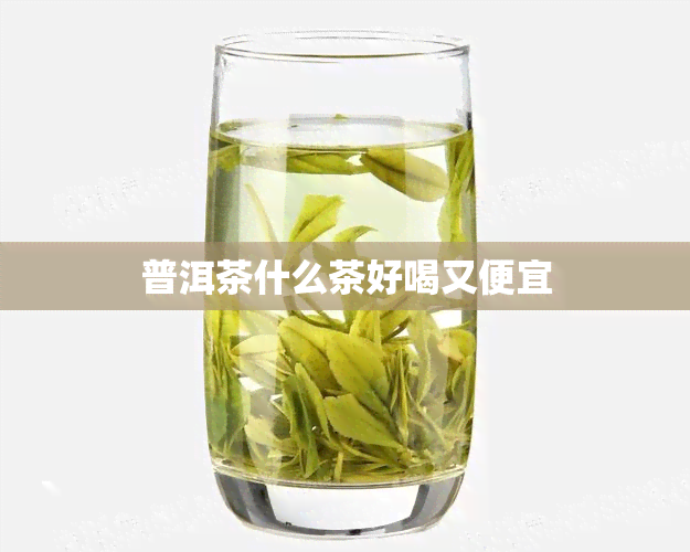 普洱茶什么茶好喝又便宜