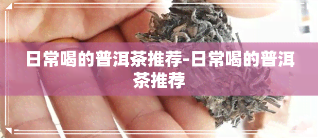 日常喝的普洱茶推荐-日常喝的普洱茶推荐