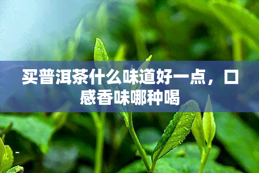 买普洱茶什么味道好一点，口感香味哪种喝