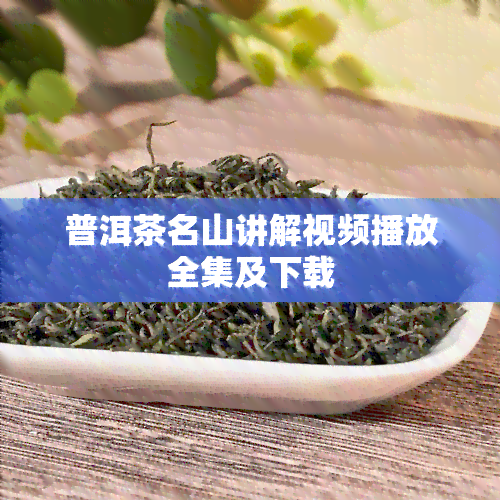 普洱茶名山讲解视频播放全集及下载