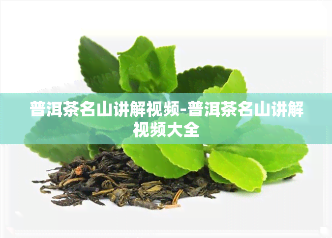 普洱茶名山讲解视频-普洱茶名山讲解视频大全