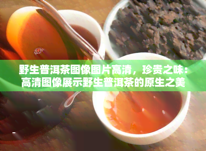 野生普洱茶图像图片高清，珍贵之味：高清图像展示野生普洱茶的原生之美