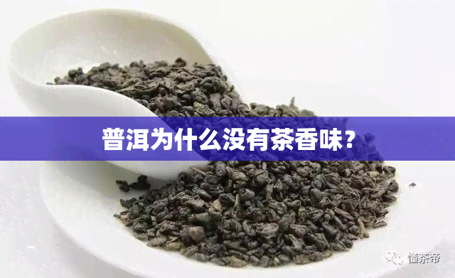 普洱为什么没有茶香味？