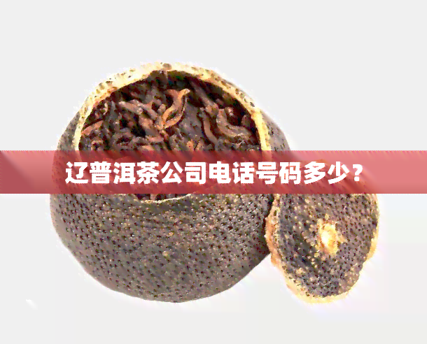 辽普洱茶公司电话号码多少？