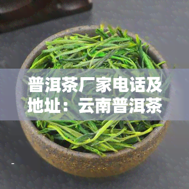 普洱茶厂家电话及地址：云南普洱茶厂联系方式