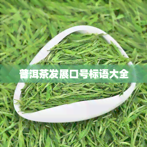 普洱茶发展口号标语大全