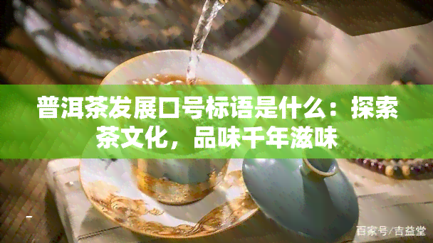 普洱茶发展口号标语是什么：探索茶文化，品味千年滋味