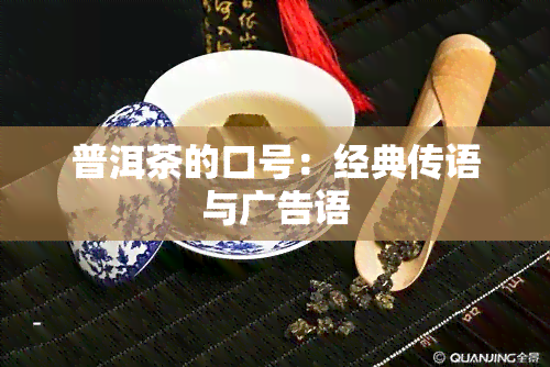 普洱茶的口号：经典传语与广告语