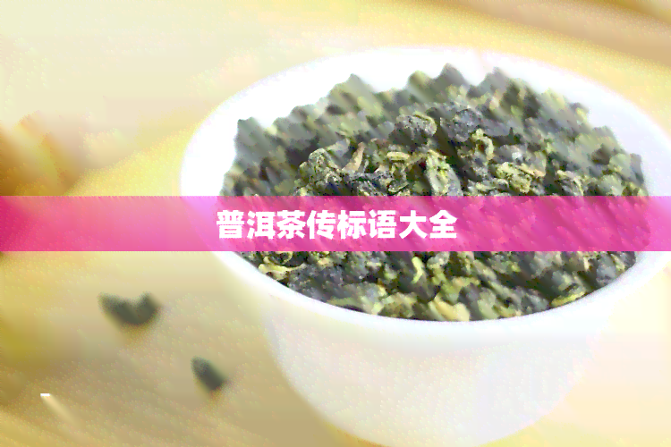 普洱茶传标语大全