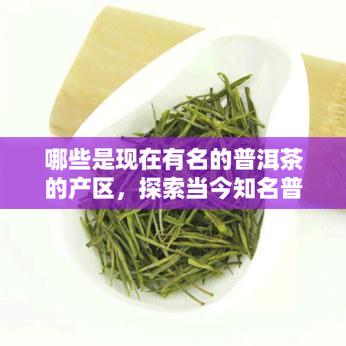 哪些是现在有名的普洱茶的产区，探索当今知名普洱茶产区：你需要了解的地域名录