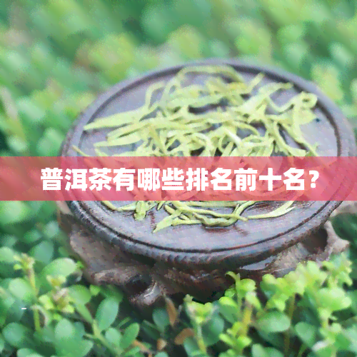 普洱茶有哪些排名前十名？