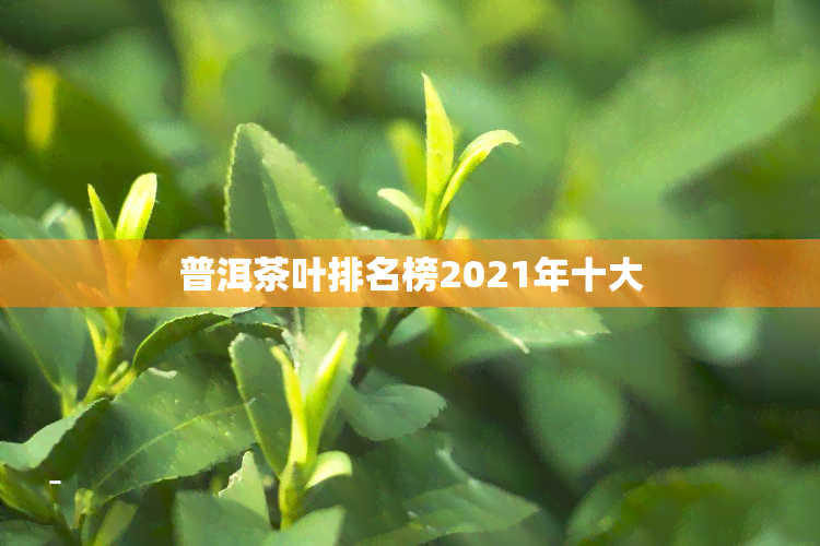 普洱茶叶排名榜2021年十大