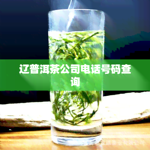 辽普洱茶公司电话号码查询