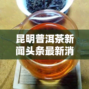 昆明普洱茶新闻头条最新消息：价格一斤