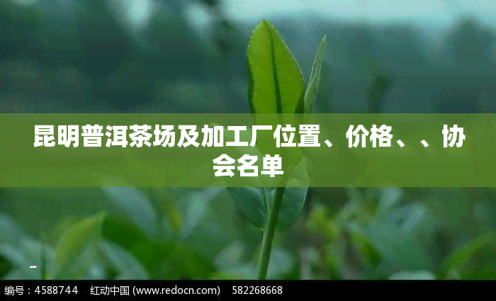 昆明普洱茶场及加工厂位置、价格、、协会名单