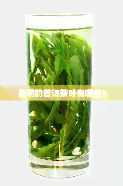 昆明的普洱茶叶有哪些？