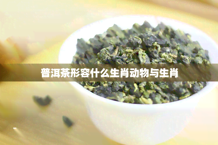 普洱茶形容什么生肖动物与生肖