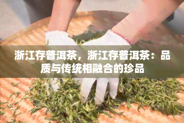 浙江存普洱茶，浙江存普洱茶：品质与传统相融合的珍品