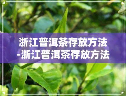 浙江普洱茶存放方法-浙江普洱茶存放方法有哪些