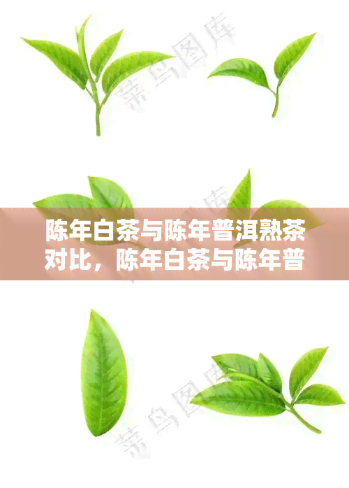 陈年白茶与陈年普洱熟茶对比，陈年白茶与陈年普洱熟茶：品味与比较