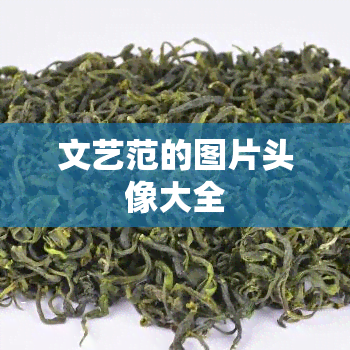 文艺范的图片头像大全