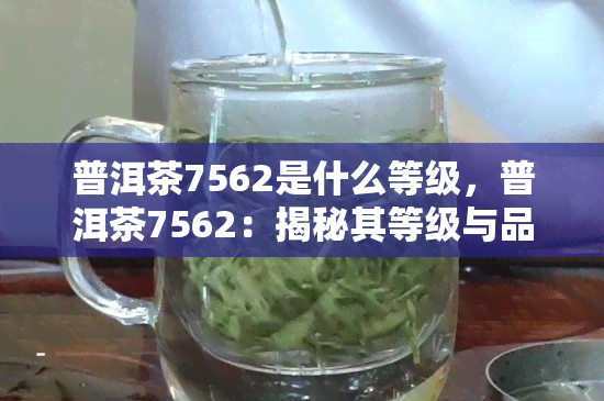 普洱茶7562是什么等级，普洱茶7562：揭秘其等级与品质