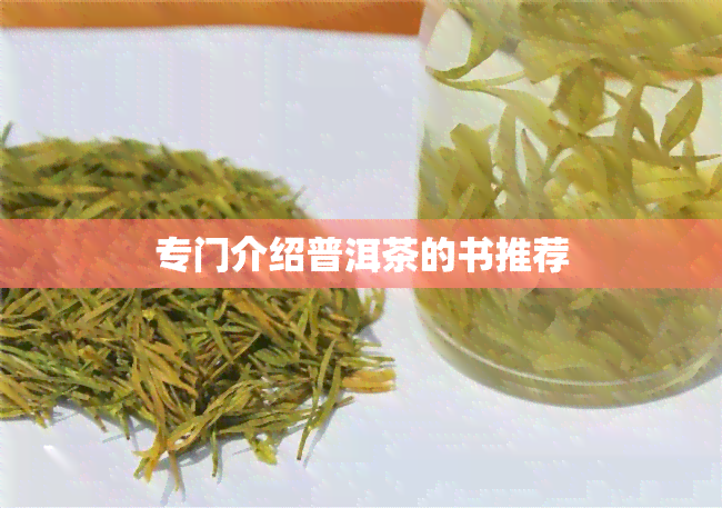 专门介绍普洱茶的书推荐