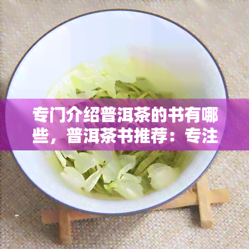 专门介绍普洱茶的书有哪些，普洱茶书推荐：专注品鉴与文化探索的精选读物