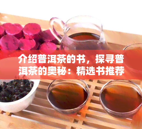 介绍普洱茶的书，探寻普洱茶的奥秘：精选书推荐