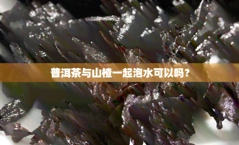 普洱茶与山楂一起泡水可以吗？