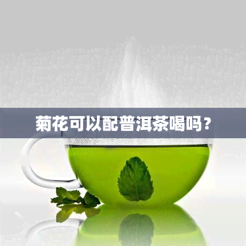 菊花可以配普洱茶喝吗？