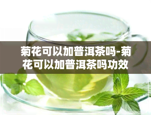 菊花可以加普洱茶吗-菊花可以加普洱茶吗功效