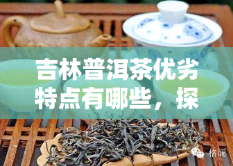 吉林普洱茶优劣特点有哪些，探究吉林普洱茶的优缺点：特点一览