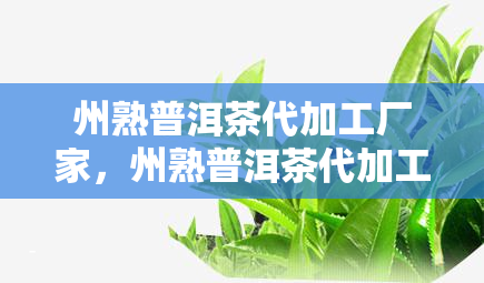 州熟普洱茶代加工厂家，州熟普洱茶代加工厂家：定制您的独特茶叶体验