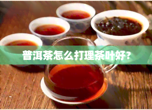 普洱茶怎么打理茶叶好？