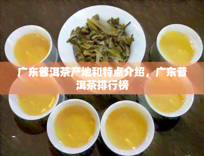 广东普洱茶产地和特点介绍，广东普洱茶排行榜