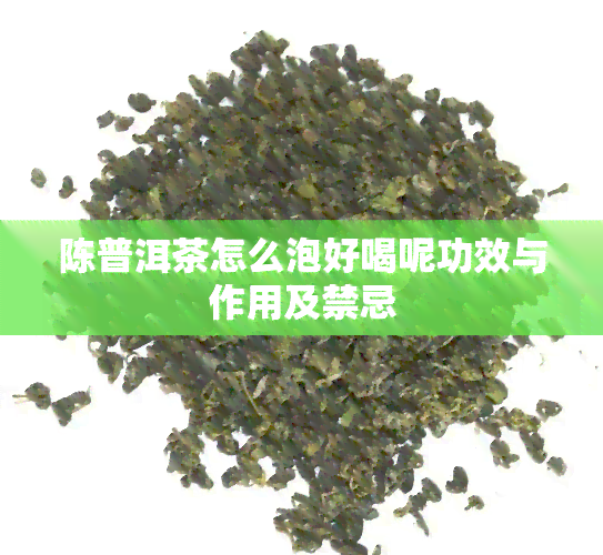 陈普洱茶怎么泡好喝呢功效与作用及禁忌