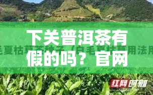 下关普洱茶有假的吗？官网报价表、值得收藏款、行情报价网