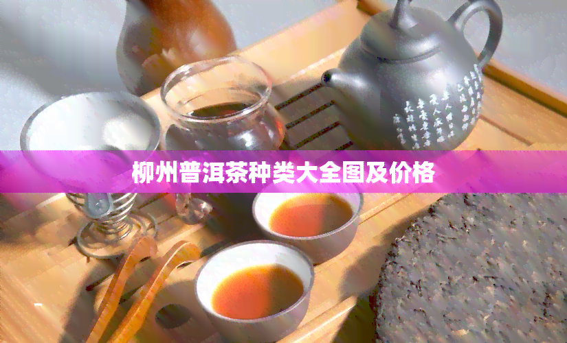 柳州普洱茶种类大全图及价格