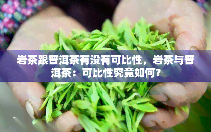 岩茶跟普洱茶有没有可比性，岩茶与普洱茶：可比性究竟如何？