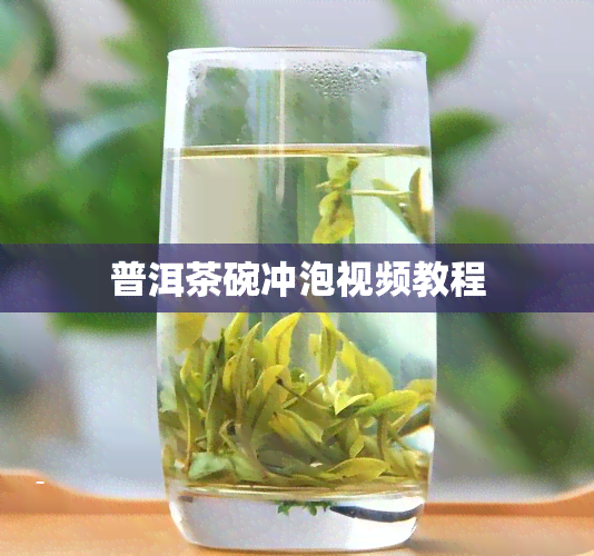 普洱茶碗冲泡视频教程