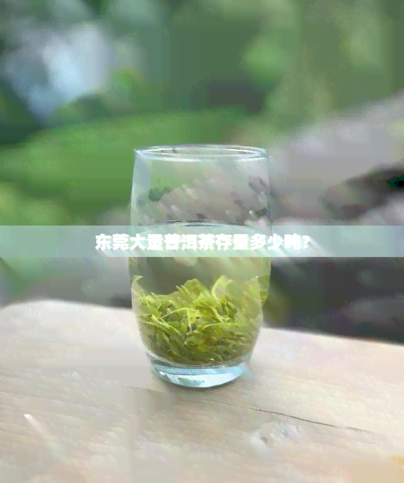 东莞大量普洱茶存量多少吨？