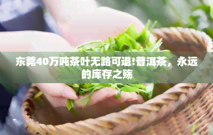 东莞40万吨茶叶无路可退!普洱茶，永远的库存之殇