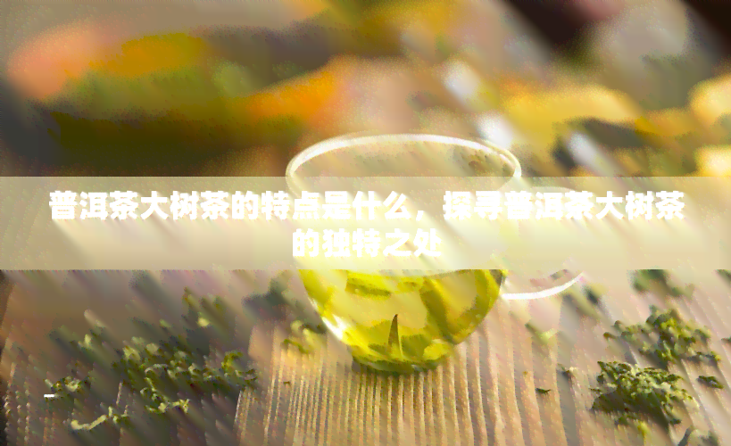 普洱茶大树茶的特点是什么，探寻普洱茶大树茶的独特之处