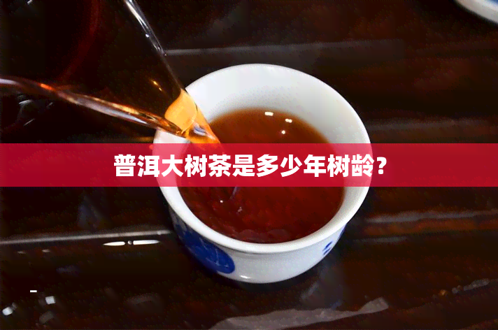 普洱大树茶是多少年树龄？